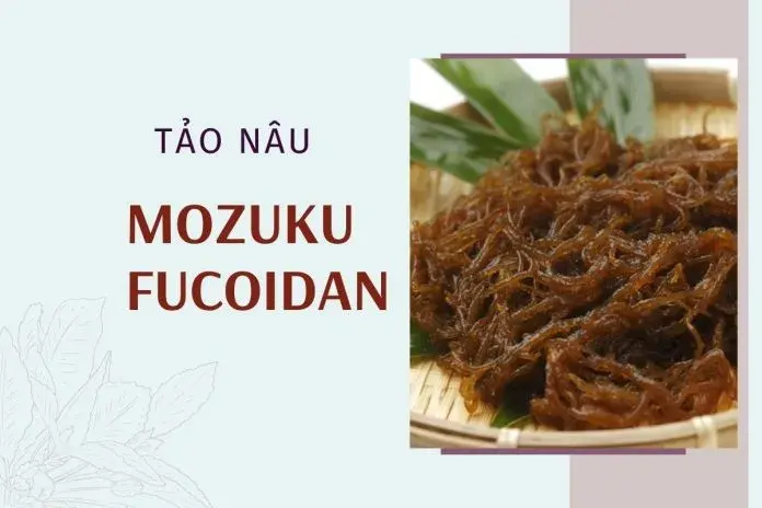 BÍ QUYẾT SỐNG KHỎE, SỐNG THỌ